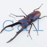 cmfinae1