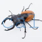 Odontolabis.cuvera.sinensisD Savannakhet S6