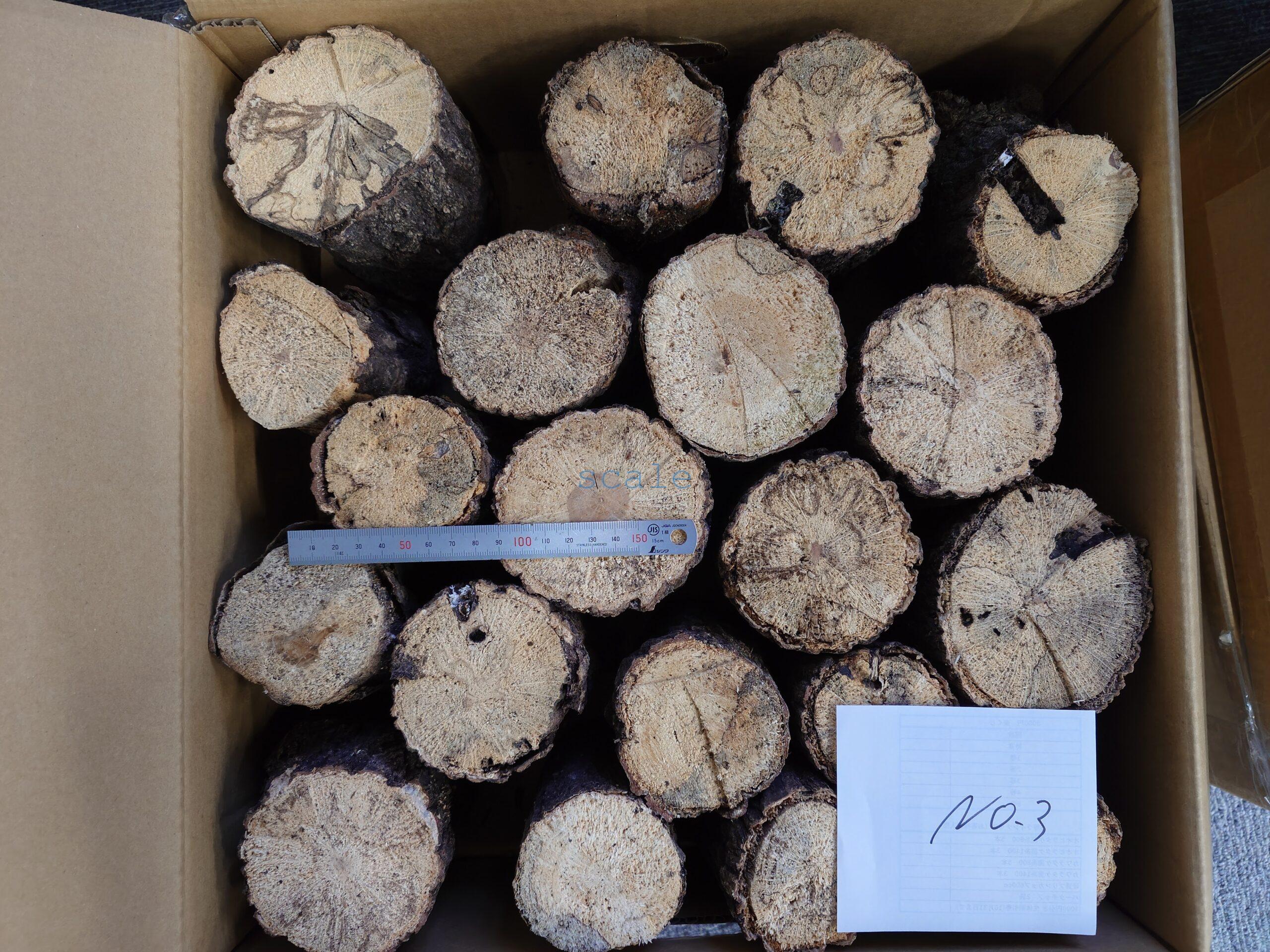 oak3