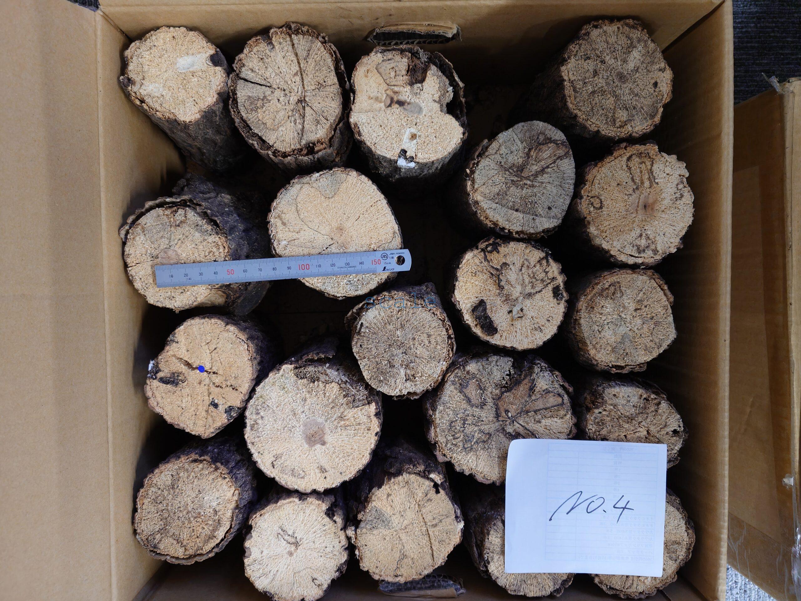 oak4
