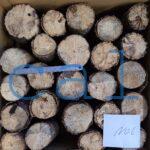oak6