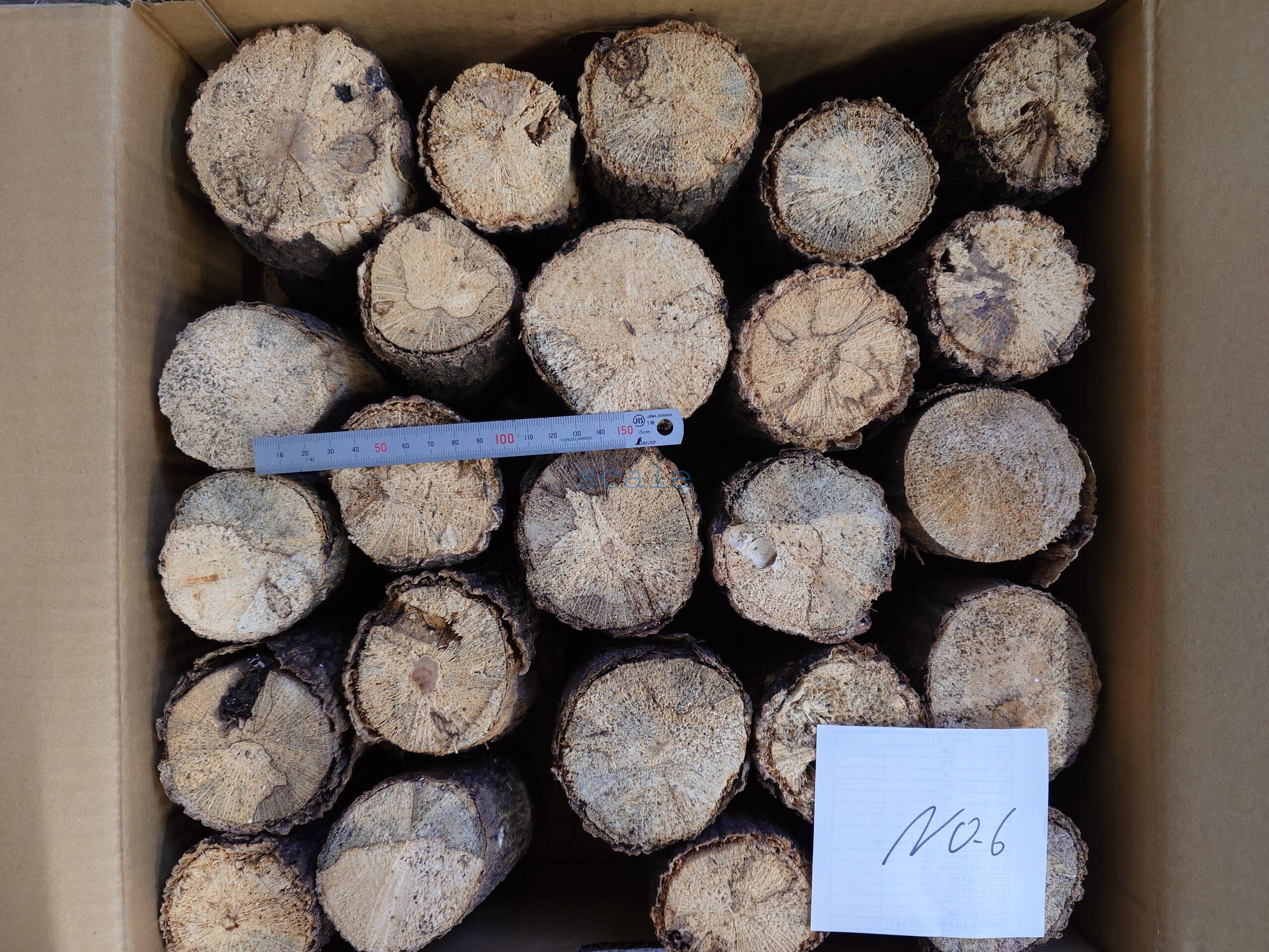 oak6