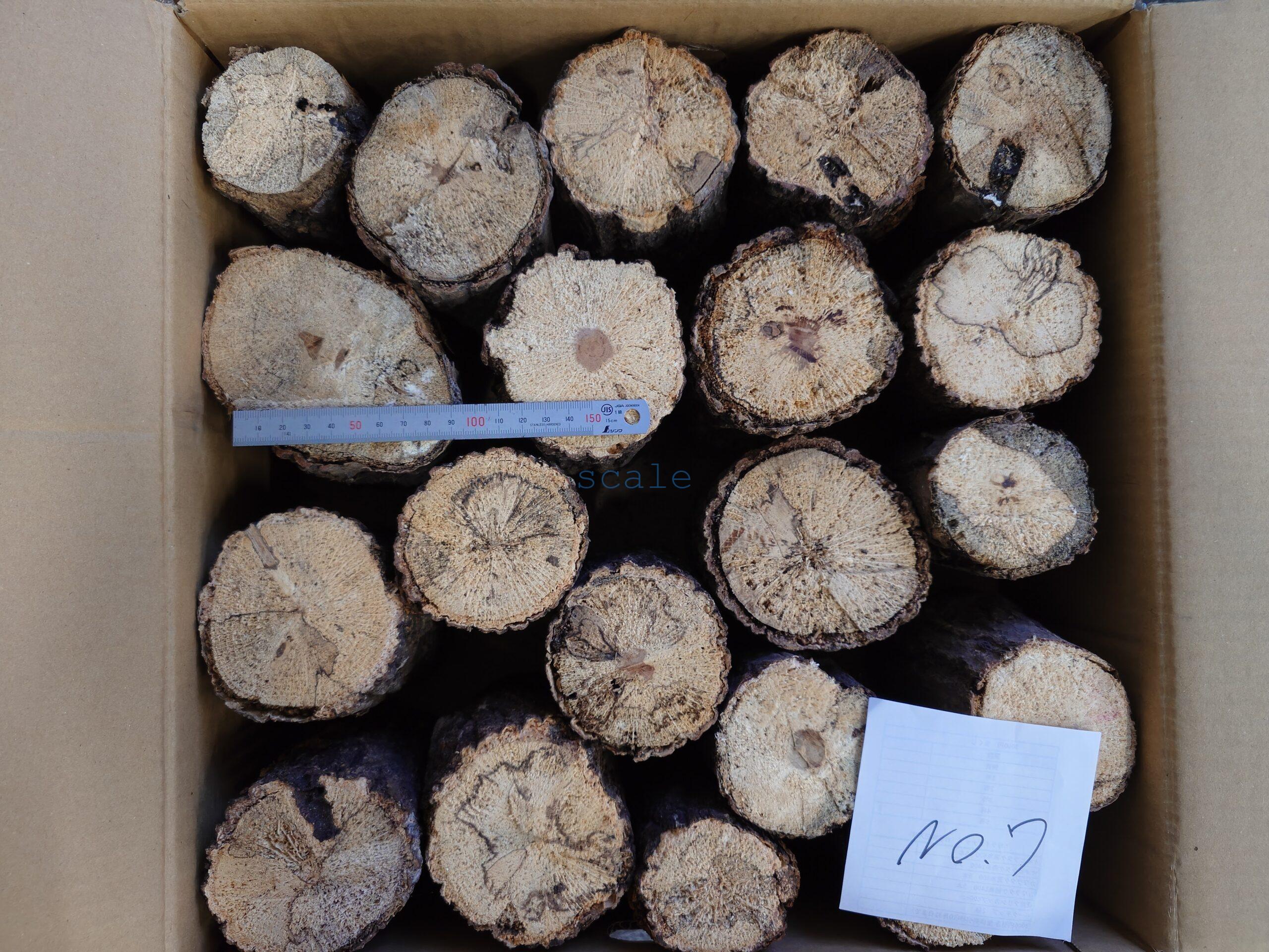 oak7